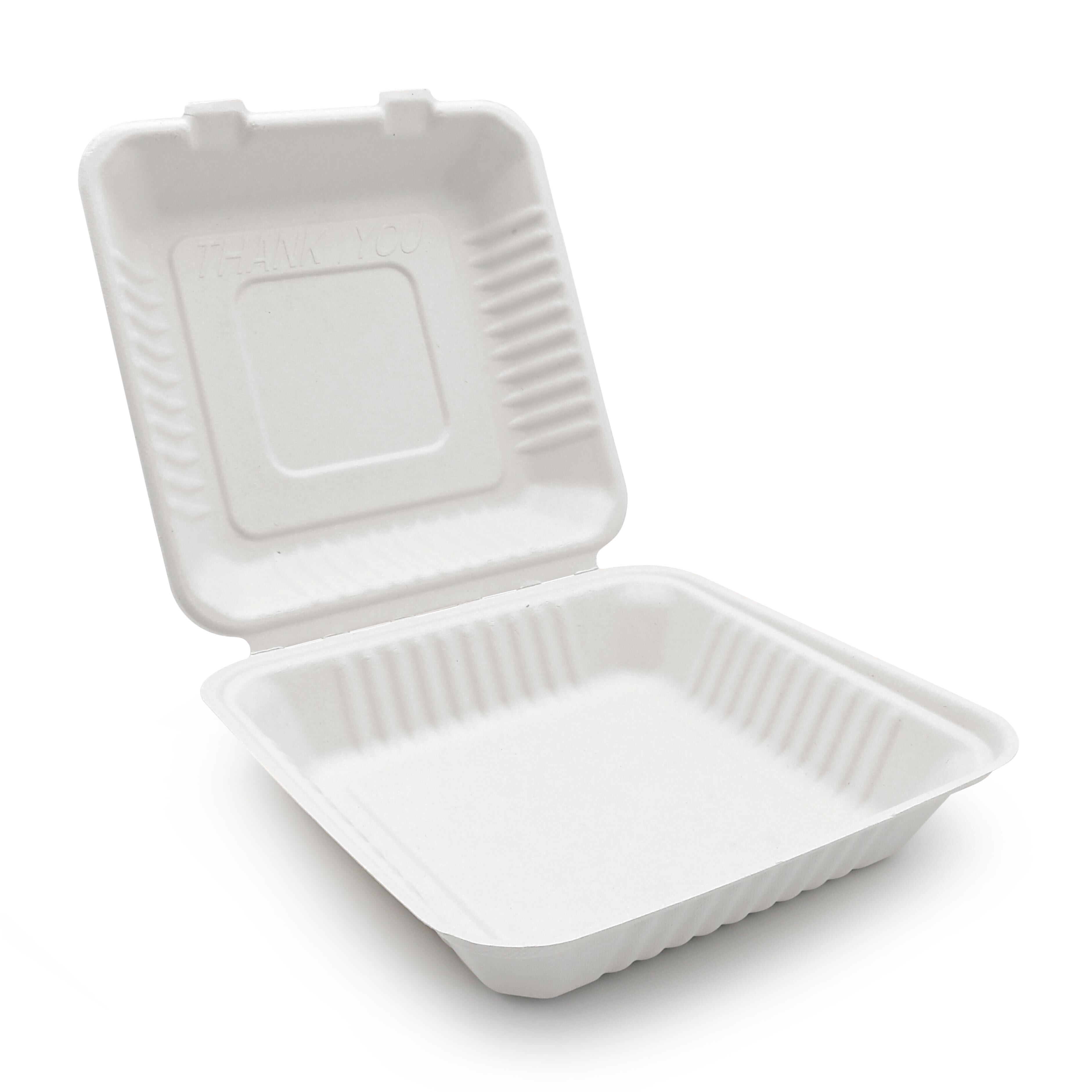 Bagasse & Eco-Friendly